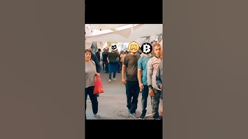 Which airdrop is best ? #blum #memefi #dog #tapswap #catizen #rockyrabbit #hamsterkombat #airdrop