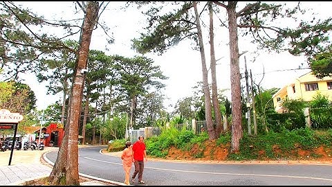 Sự Thật Ẩn Giấu Bên Trong Của Đà Lạt và Du Khách