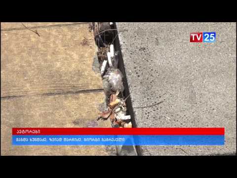 საჯარიმო სანქციები ბულვარის დაბინძირებისთვის