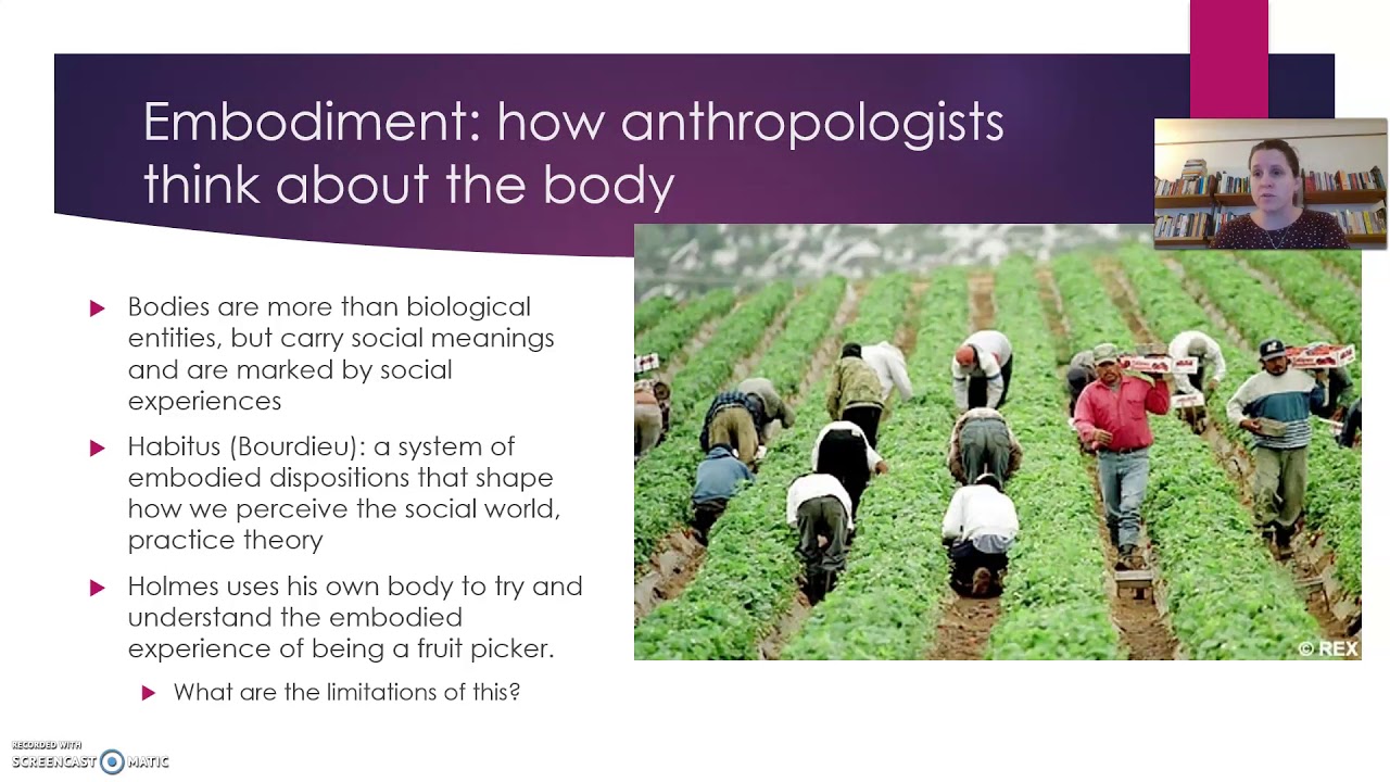 Fresh Fruit Broken Bodies, Week 13 YouTube