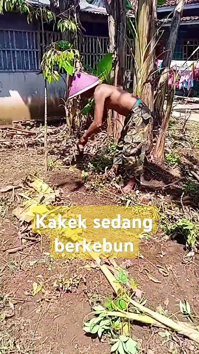 kakek sedang berkebun #automobile #trendingshorts