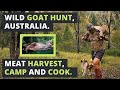 Feral GOAT HUNTING in AUSTRALIA, meat HARVEST, CAMP and COOK.