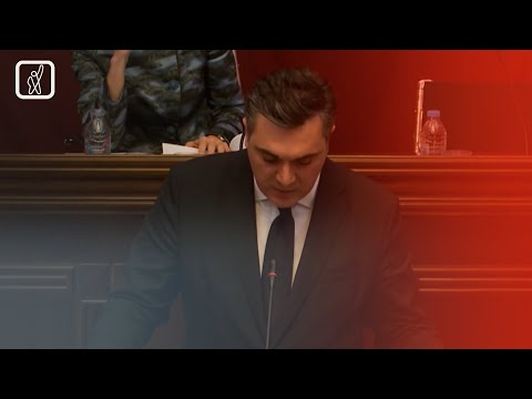 ილია დარჩიაშვილს სამი კომიტეტის გაერთიანებულ სხდომაზე უსმენენ