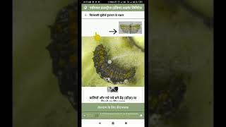 Parijat Kisan App Parijat Kisan App