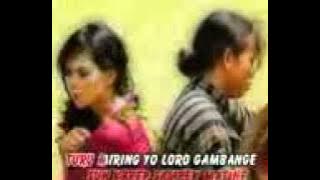 Moto moto kidang