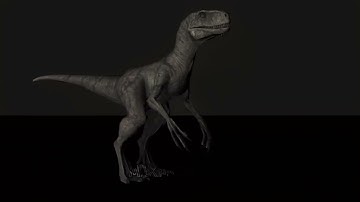 animation test | prisma 3D |