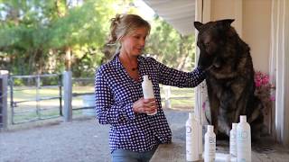 Pet Care Tip: Praise Goes A Long Way