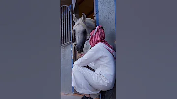 يوم قلت انه حبيبي وعتبرته من نصيبي 