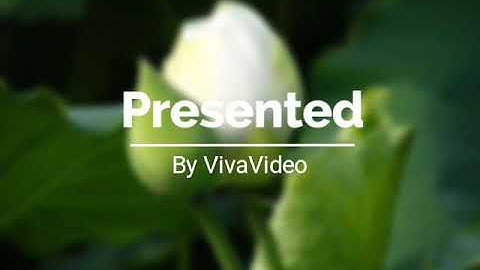 Giữ gìn sự trong sáng của tiếng việt