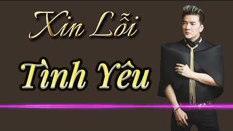 Xin lỗi tình yêu karaoke remix đàm vĩnh hưng năm 2024