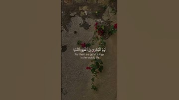 سورة يونس تلاوة الشيخ سعد الغامدي #اكسبلور #explore