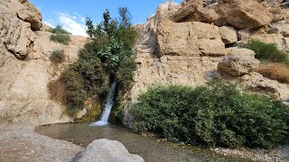 Israel Tour Day 7 Part 1 April 9th ~ En GEDI (and the day that Sue fell on her Bum!)