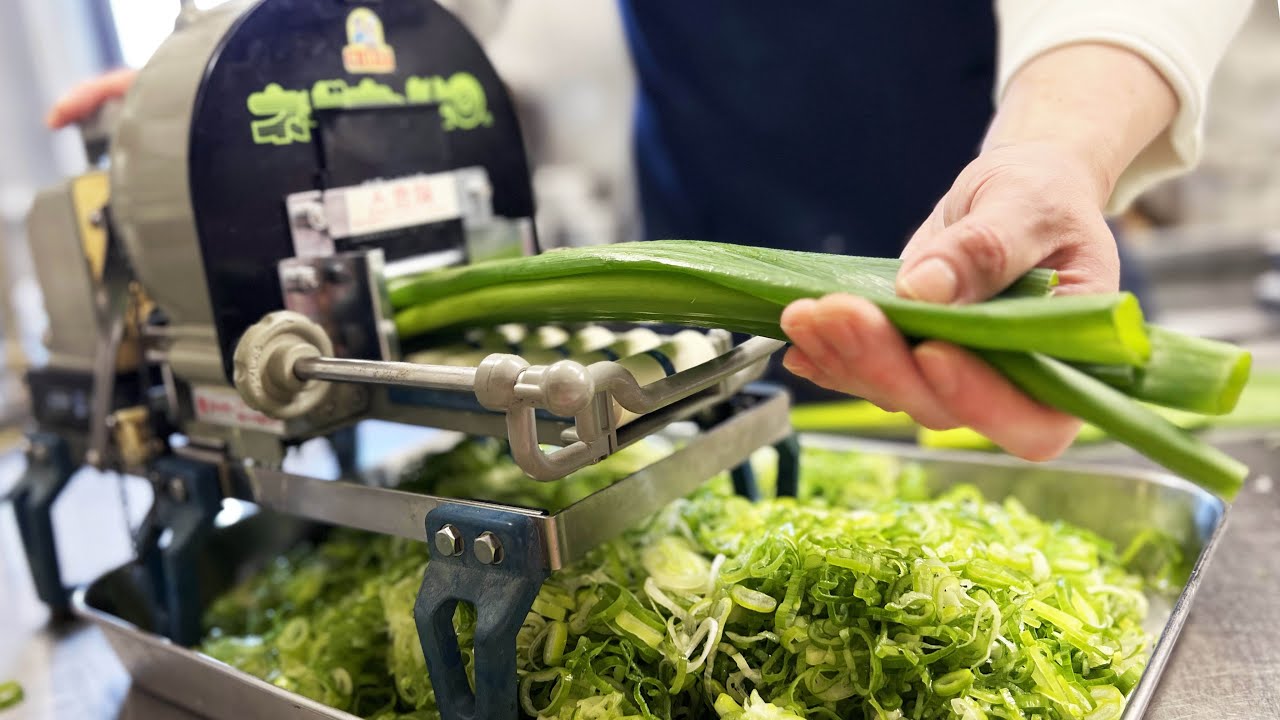 ねぎ トーホク ネギ 浅黄九条細ねぎ ＜葉野菜の種＞の通販｜ネギ・ニラ