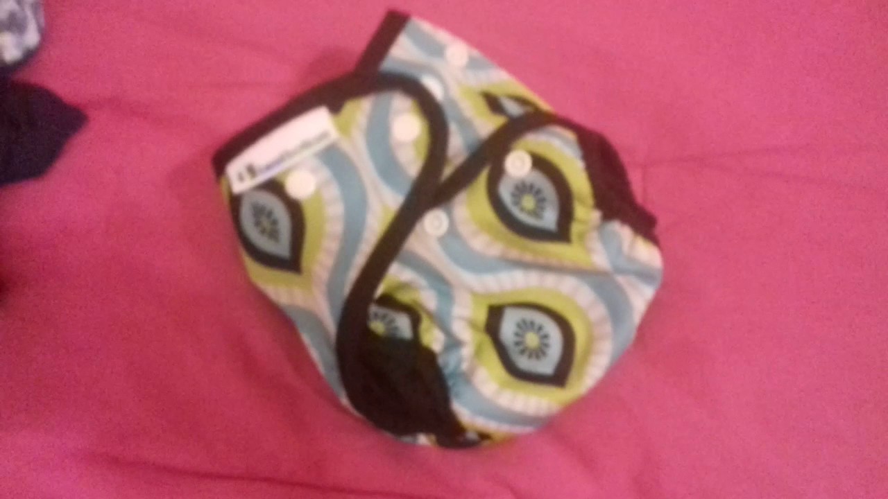 Smart bottoms overnight insert