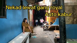 Melihat pemukiman di bawah kolong  tol pluit samapai gang royal