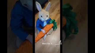 Peter rabbit costume #worldbookday #peterrabbit #peterrabitcostume #subscribe #like #cutekids