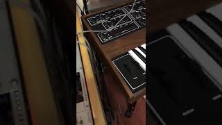 Audio Damage ADM06 Sequencer 1 - Eurorack Module on ModularGrid