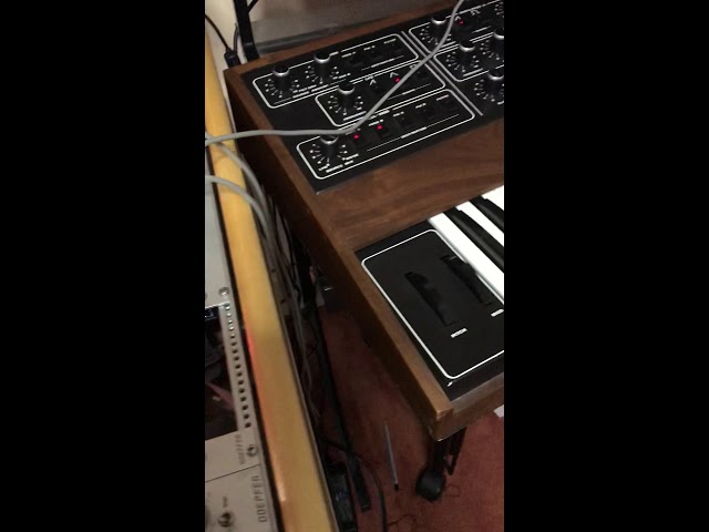 Mira Prophet 5 and Audio Damage Sequencer 1 en YouTube Mira Prophet 5 and Audio Damage Sequencer 1 en YouTube