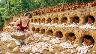 Harvesting 1000+ Chicken Eggs | Truck Delivery to Countryside Market to Sell