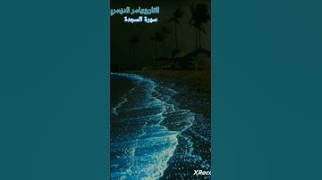 #ياسر_الدوسري#قرآن#سورة_السجدة|تلاوة هادئة للشيخ ياسر الدوسري💙💙