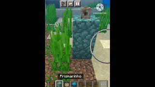 Como Ativar O Aqueduto Do Minecraft