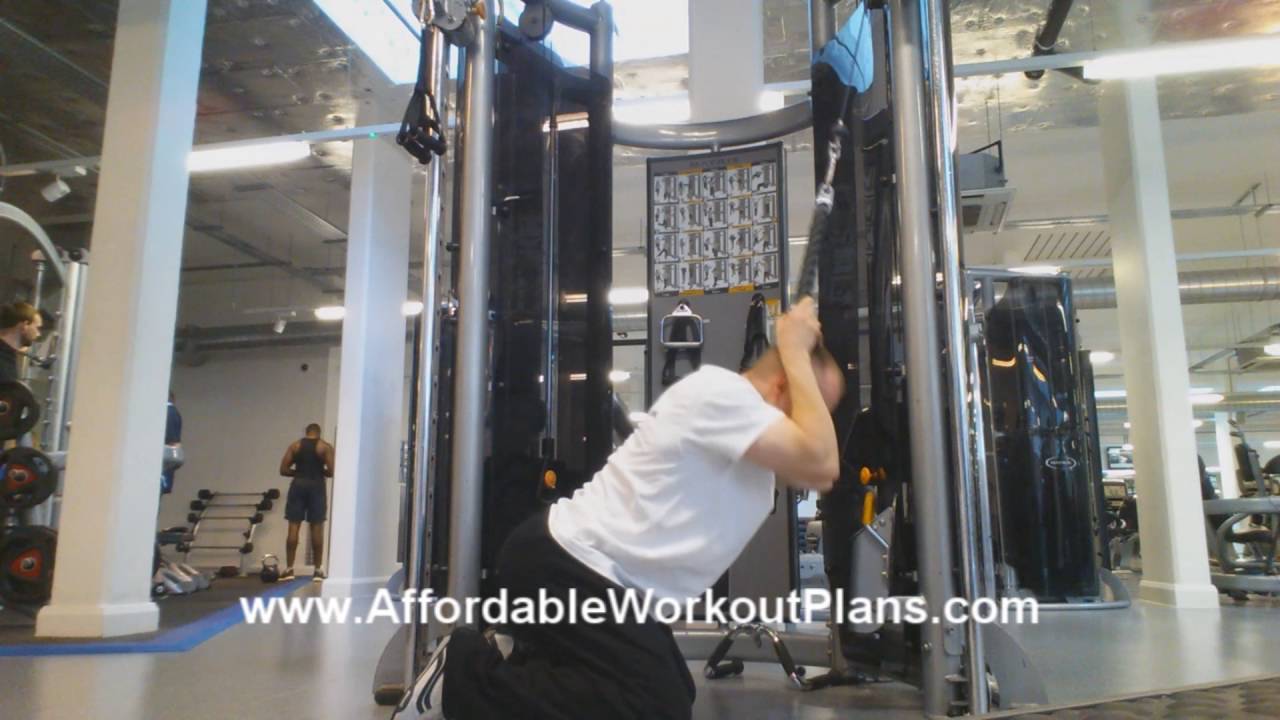 exercise 14.1 class 11 Kneeling Cable Side Crunches (abs exercise)