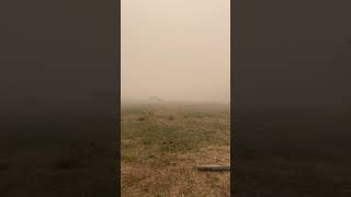 Forest Fires In Siberia 2021