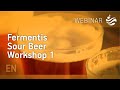 Fermentis Sour Beer workshop 1- Fermentis webinar