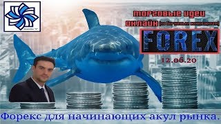 Форекс для начинающих акул рынка.Торговые идеи и курсы валют: теханализ евро доллар, фунт, золото.