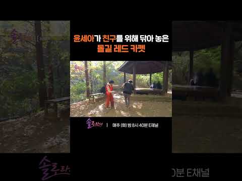 [#솔로라서] 고통과 고난 그 잡채의 돌길 레드 카펫을 걷는 윤세아의 친구 😂 #Shorts