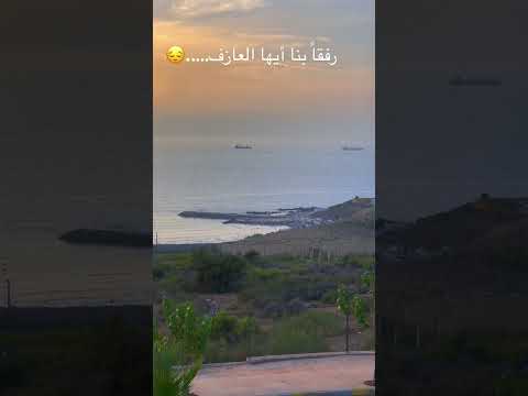 رفقا بنا أيها العازف