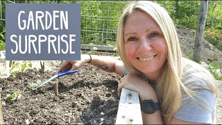 Thinning Beets In The Garden - Game Changer | What Is GROWING?