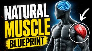 The Fitness Industry Lied to Natural Lifters