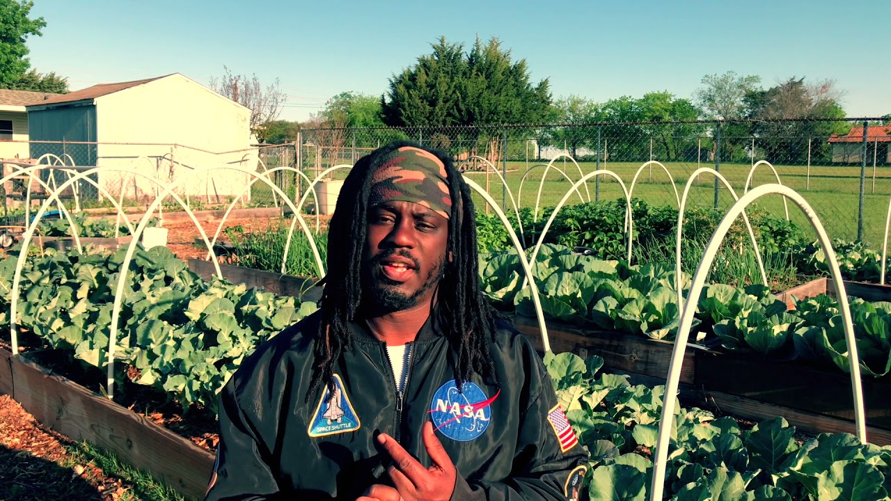 FOOD ACTIVISM by Certified Master Gardener, Coy LeBron Poitier