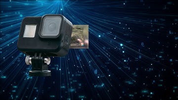 Deep Vision Activity Recognition Demo