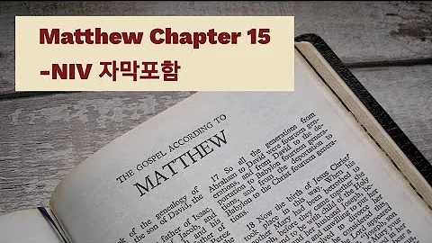Matthew 15 NIV AUDIO BIBLE (with text)