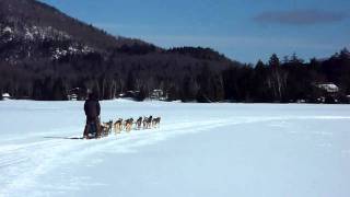 Dog sleds, Lake Placid