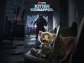 Kitten kidnapped #9cutecat #cat #cute #kitten #funny #ai #shorts