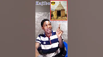 Quand L Esprit Est Dans Le Système Shibiri Shibiri Chinga 