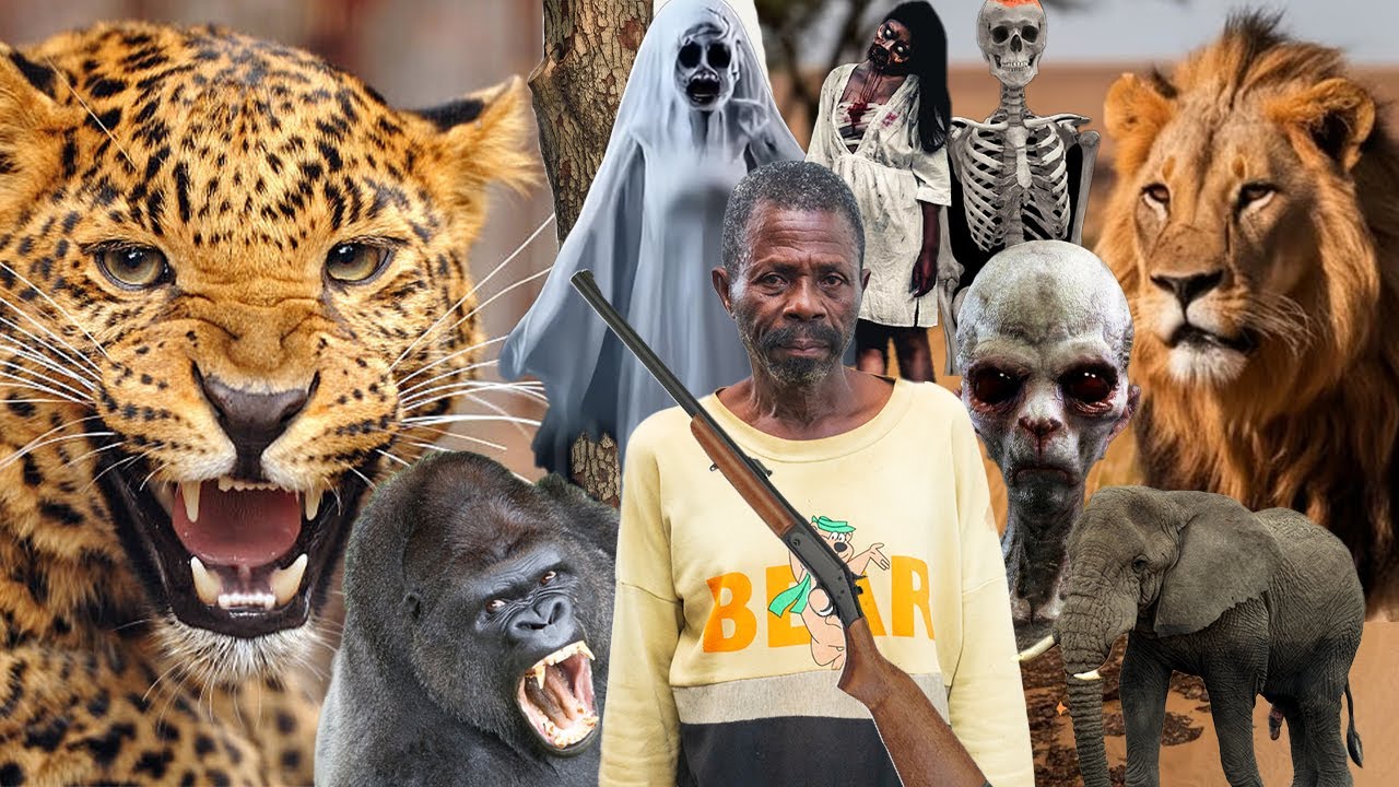 WONDERS😒I met a little baby crying in deep forest at midnight. I saw a tall man with  a big Elephant