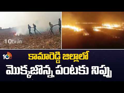 Kamareddy Farmers Shocked as Corn Crop Catches Fire | మొక్కజొన్న పంటకు నిప్పు 10TV News - 10TVNEWSTELUGU