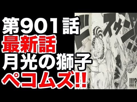 ワンピース 考察 トラファルガーローが起こした ロッキーポート事件 の真相とは ワンピース考察 予想ちゃんねる ざっくりな世界史