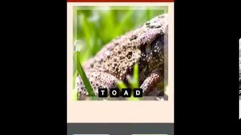 Hi Guess the Pic Level 5 Answers Guide1704