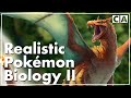 Realistic Pokémon Biology | Part II