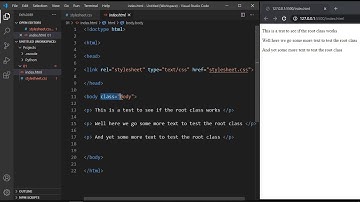 CSS ROOT pseudo-class selector
