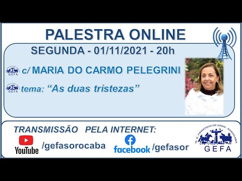 Assista: Palestra Online - c/ MARIA DO CARMO PELEGRINI (01/11/2021)