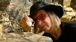 Tsunami Theories | What Really Killed the Dinosaurs? | BBC Studios