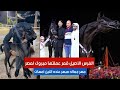 الفرس الاصيل قمر عملتها مبروك لمصر و مهر جماله مبهرعنده اتنين امهات
