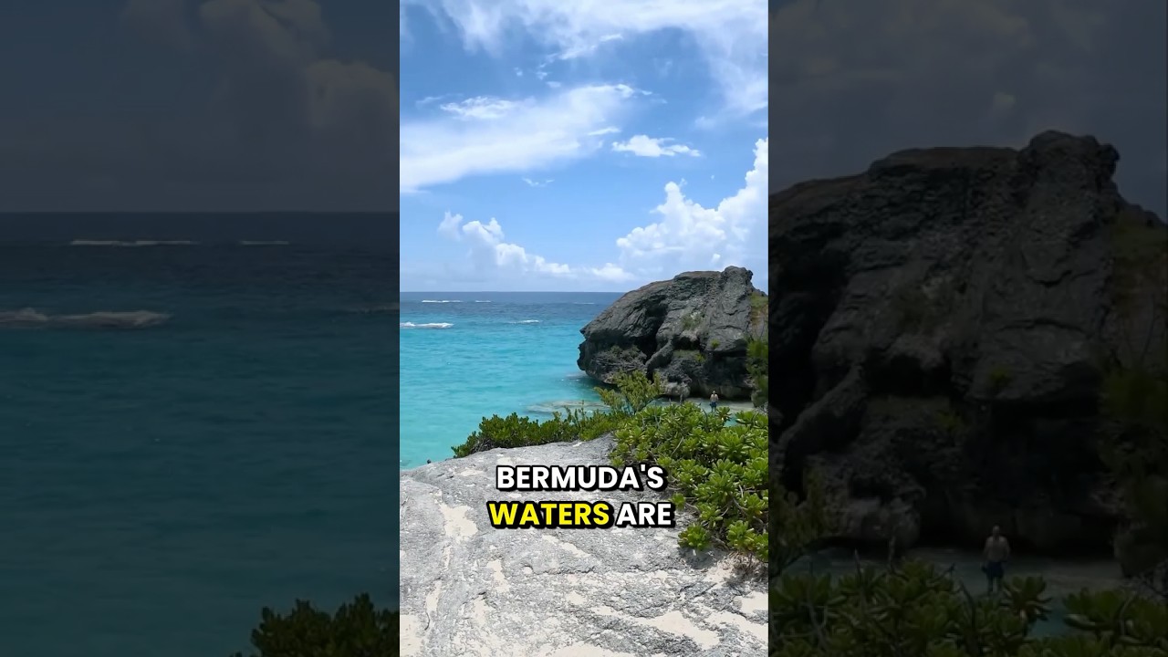 Bermuda National Museum Review | Shipwrecks, Diving & Maritime History