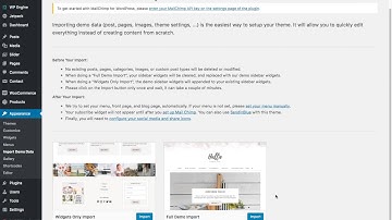 Step 3: How To Import Widgets and Demo Content